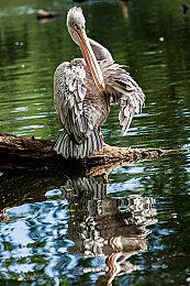 外媒评15款好玩的魂类游戏 《堕落之主》等